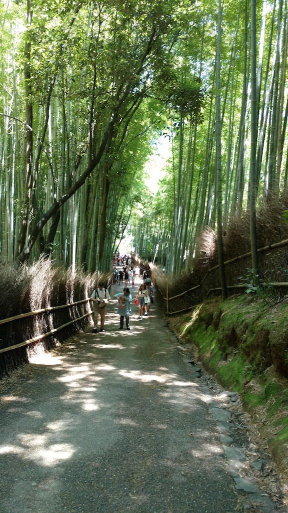 Bosque de Bambú por Moto X Style