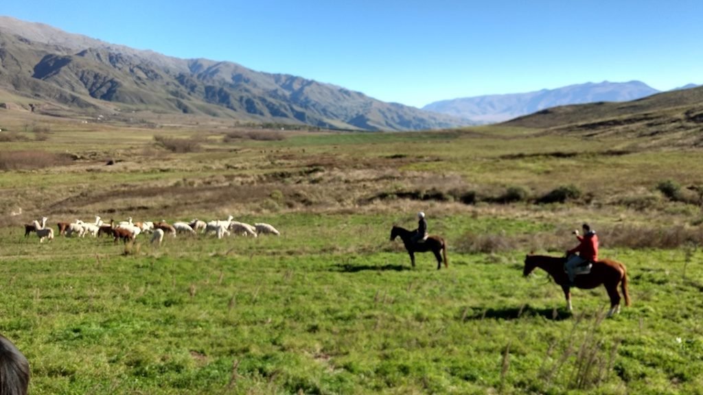 Estancia Las Carreras