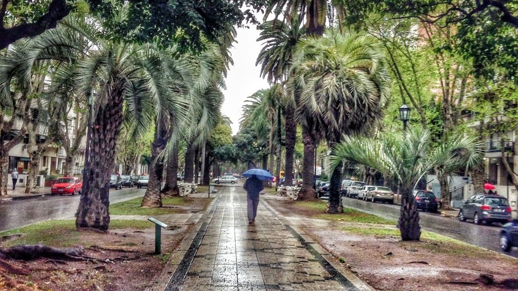 Rosario bajo la lluvia